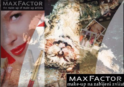 Maxfactor.jpg