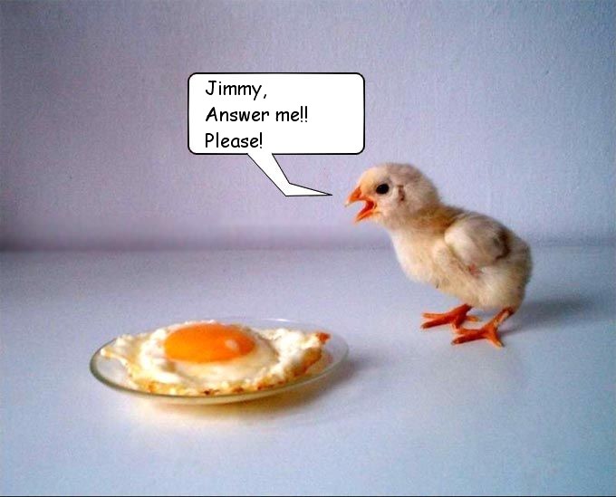 jimmy[1].jpg