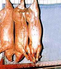 jatka001[1].jpg